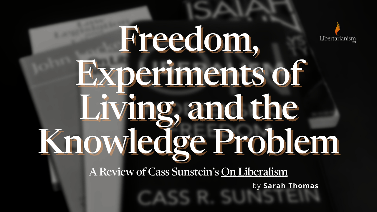Sunstein book review
