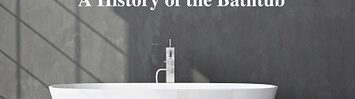 Media Name: a_history_of_the_bathtub.jpg