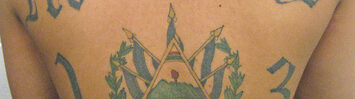 Media Name: ms-13_tattoo_2.jpg