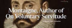 Author of On Voluntary Servitude